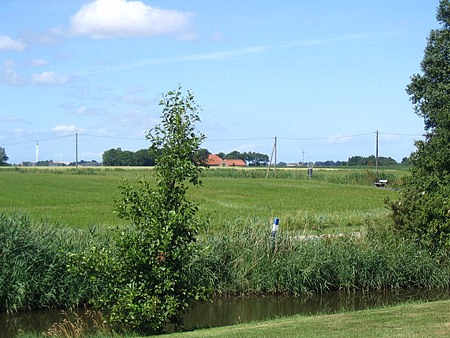 Foto aus der Fotogruppe 